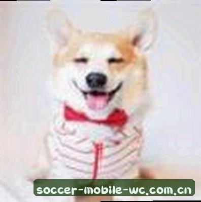 吴涛